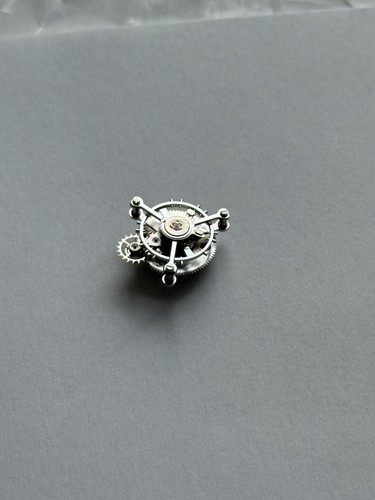 Gruppo gabbia tourbillon